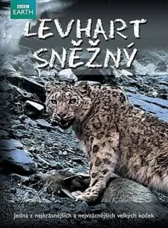 Levhart sněžný - DVD